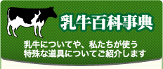 乳牛についてや私たちが使う特殊な道具についてご紹介します。